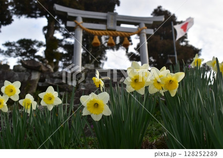 熊本 天草 倉岳神社 九州 熊本 天草 倉岳神社 九州 128252289