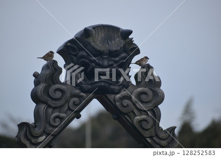 熊本　天草　鬼の城公園　九州 128252583