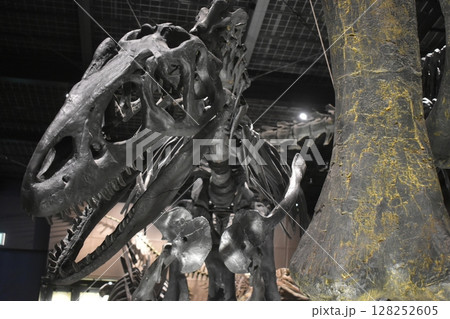 熊本　御船町恐竜博物館　九州 128252605