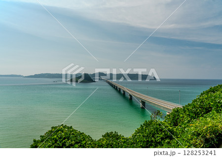 角島大橋を望む 128253241