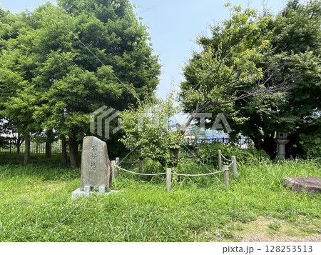 福岡市東区名島城址公園内「不断梅」 128253513