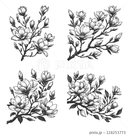 Magnolia Flower Branch engraving vector collection Magnolia Flower Branch engraving vector collection 128253773