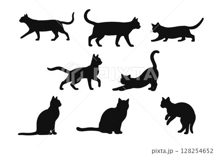 ネコ 128254652