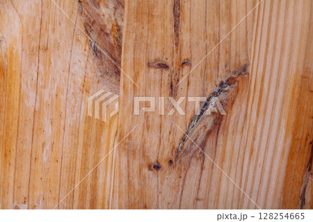 Brown bark wood texture. Natural wooden background 128254665