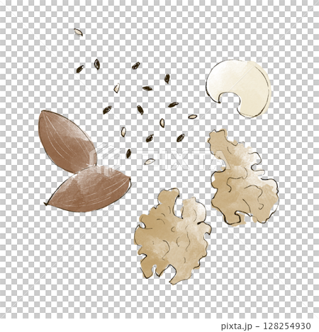 堅果和芝麻手繪插圖 128254930