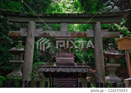 こんぴらさんの菅原神社 こんぴらさんの菅原神社 128255055