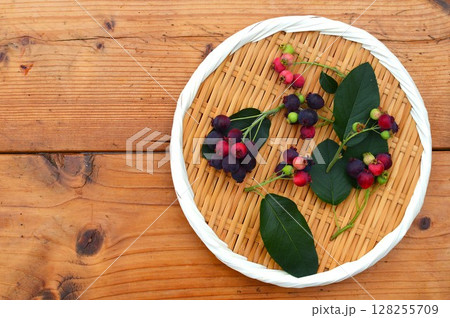 盆ざるにのせたカラフルなジューンベリーの実　  　　　 128255709