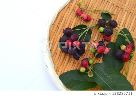 盆ざるにのせたカラフルなジューンベリーの実 盆ざるにのせたカラフルなジューンベリーの実 128255711