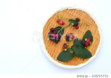 盆ざるにのせたカラフルなジューンベリーの実　  　　　 128255712