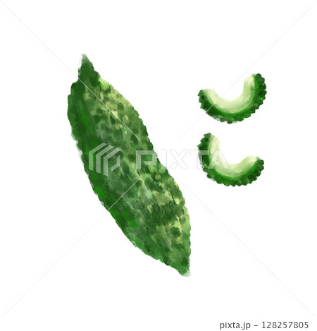ゴーヤの水彩イラストセット ゴーヤの水彩イラストセット 128257805
