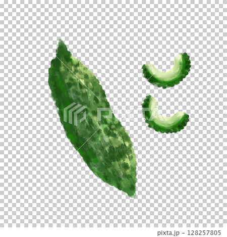 ゴーヤの水彩イラストセット ゴーヤの水彩イラストセット 128257805