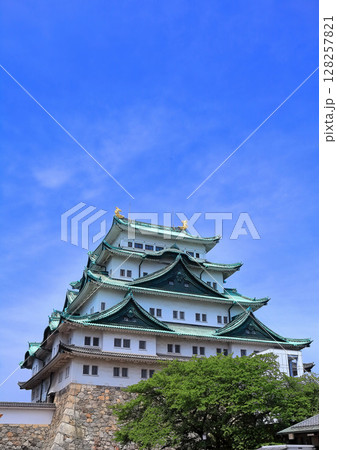 【愛知県】晴天下の名古屋城大天守 【愛知県】晴天下の名古屋城大天守 128257821