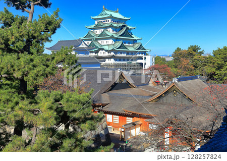 【愛知県】快晴の名古屋城大天守と本丸御殿 【愛知県】快晴の名古屋城大天守と本丸御殿 128257824