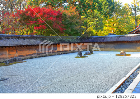 【京都府】龍安寺の石庭と紅葉 【京都府】龍安寺の石庭と紅葉 128257825