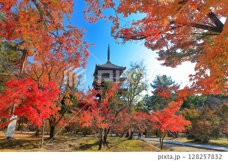【京都府】紅葉の仁和寺の五重塔 【京都府】紅葉の仁和寺の五重塔 128257832