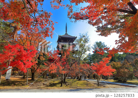 【京都府】紅葉の仁和寺の五重塔 【京都府】紅葉の仁和寺の五重塔 128257833