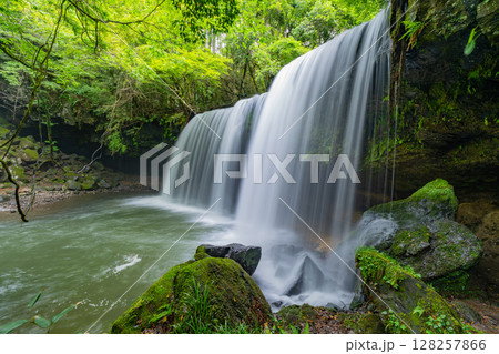 （熊本県小国町）新緑の鍋ヶ滝 128257866