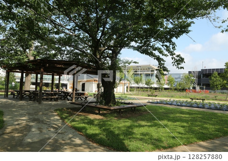 富士見公園を歩いた 128257880