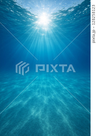 水中から見上げた太陽 128258123