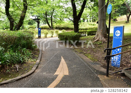 横浜市神奈川区　三ツ沢公園園路（トリムコース）と新緑 128258142