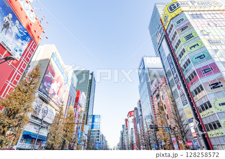 東京都千代田区秋葉原　サブカルチャーと電気街で世界的に有名な観光名所　秋葉原電気街の街並み 128258572