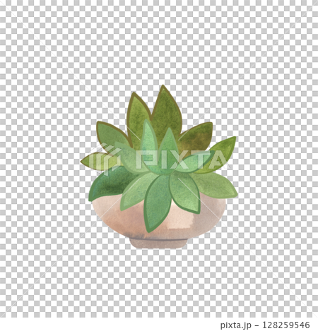 Succulent in a light wide pot. Interior decor. Isolated watercolor illustration. Succulent in a light wide pot. Interior decor. Isolated watercolor illustration. 128259546