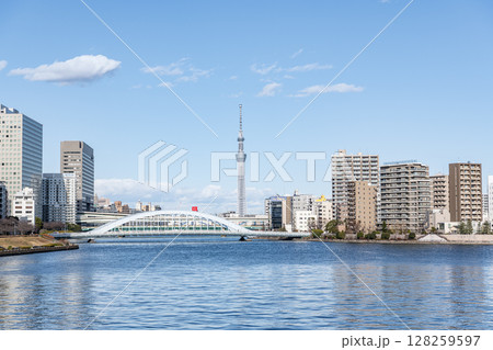 東京都某所　東京の街並みと東京スカイツリー 128259597