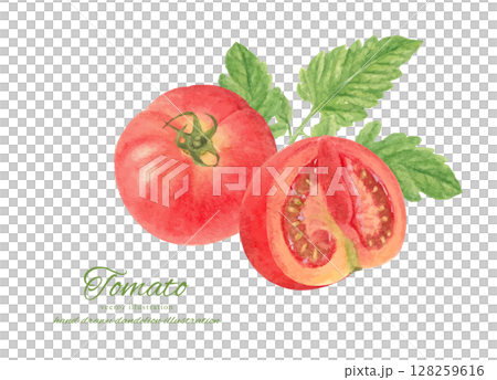 水彩手書きのフレッシュなトマトの素材 128259616