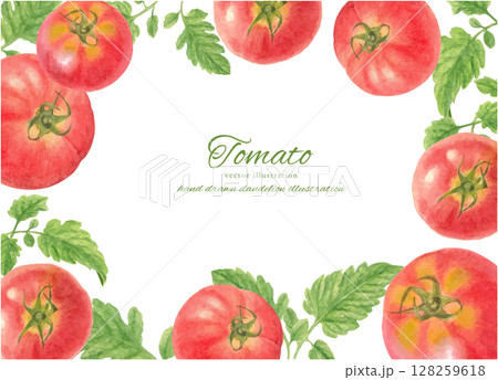水彩手書きのフレッシュなトマトのフレーム背景素材 水彩手書きのフレッシュなトマトのフレーム背景素材 128259618