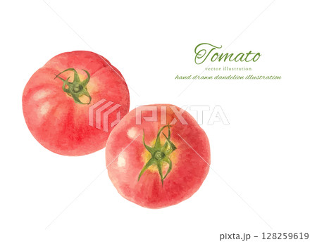 水彩手書きのフレッシュなトマトのイラスト素材 128259619