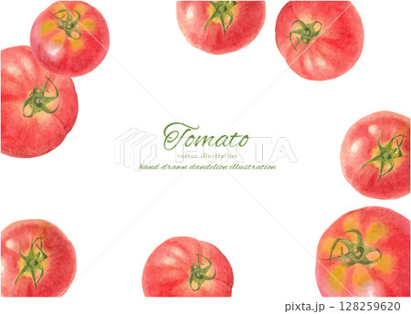 水彩手書きのフレッシュなトマトの背景素材 128259620
