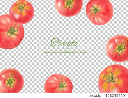 水彩手繪新鮮番茄背景素材 128259620