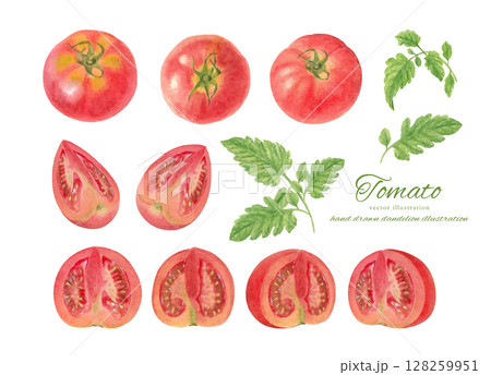 水彩手書きのいろいろなトマトのイラストセット 128259951