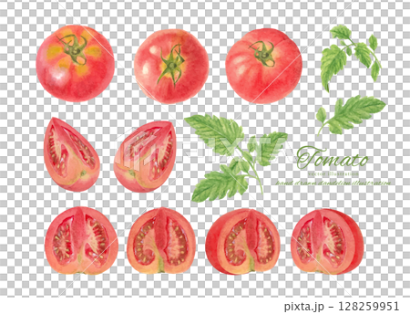 水彩手書きのいろいろなトマトのイラストセット 128259951