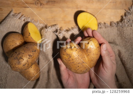 Unique Potato Shapes Held by Hands on Burlap Fabric in a Cozy Kitchen Setting Unique Potato Shapes Held by Hands on Burlap Fabric in a Cozy Kitchen Setting 128259968