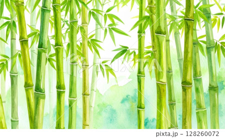 Green bamboo forest with sunlit leaves and natural branches, perfect for a serene Japanese or Asian-themed background illustration 128260072