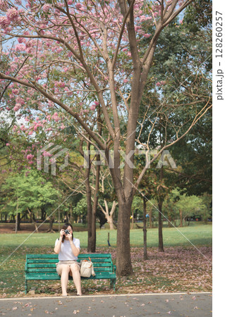 asian woman solo traveler relax and enjoy to see and take photo pink cherry blossom blooming from springtime road trip asian woman solo traveler relax and enjoy to see and take photo pink cherry blossom blooming from springtime road trip 128260257