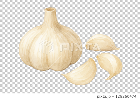 にんにくとガーリッククローブの水彩イラスト 128260474