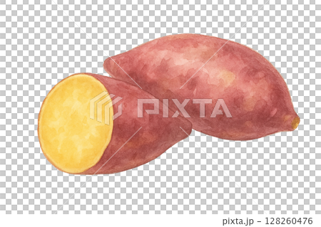 紅薯的水彩插圖（橫切面） 128260476
