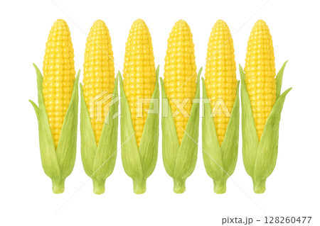 ベビーコーンの水彩イラスト 128260477