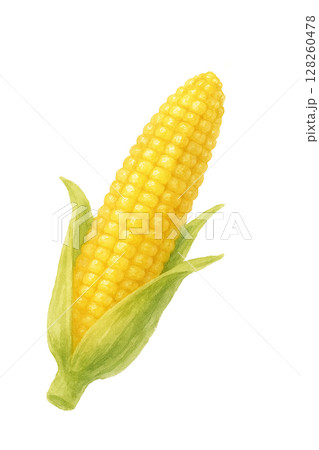 ベビーコーン（水彩切り抜き） 128260478