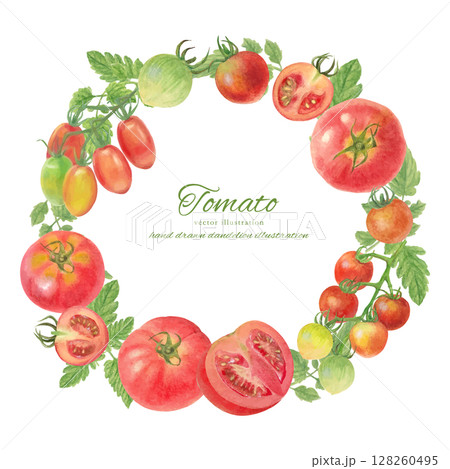 水彩で描いた色々なトマトのフレーム素材 128260495