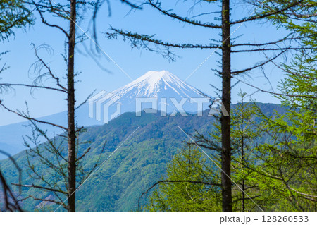 真木小金沢林道から見る新緑と富士山 真木小金沢林道から見る新緑と富士山 128260533
