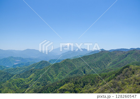 姥子山から見る富士山 姥子山から見る富士山 128260547