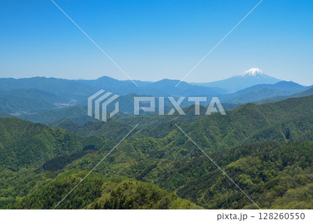 姥子山から見る富士山 姥子山から見る富士山 128260550