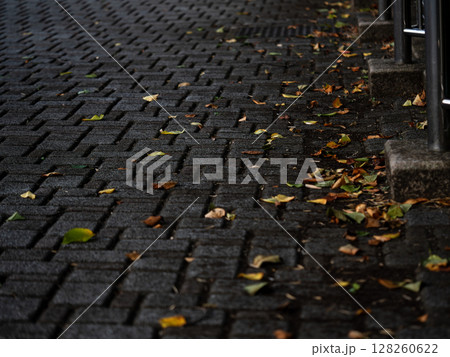 雨上がりの道と落ち葉 128260622