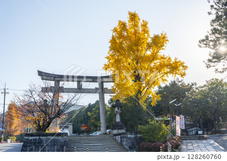 秋の京都 新日吉神宮 鳥居と黄葉したイチョウ 秋の京都 新日吉神宮 鳥居と黄葉したイチョウ 128260760