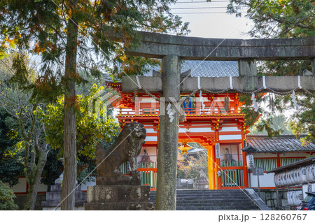 秋の京都　新日吉神宮　鳥居と楼門 128260767