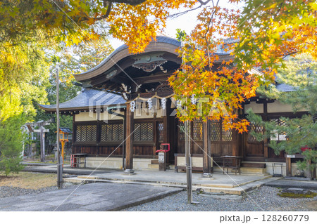 秋の京都　新日吉神宮　拝殿・本殿 128260779