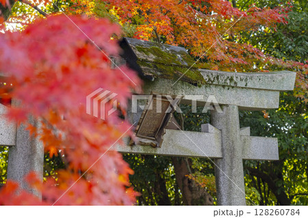 秋の京都　新日吉神宮　秋葉神社・愛宕神社 128260784